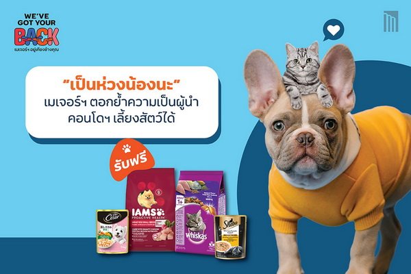 Major Send Campaign I'm Worried About You Caring For Dogs Cats