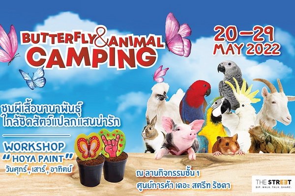 The Street Ratchada Get mesmerized by Butterflies and Cute Animals at Butterfly & Animal Camping